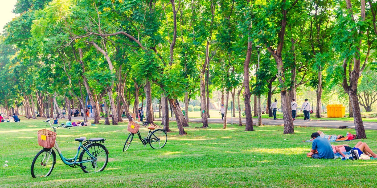 Las Zonas Verdes de Mérida: Un Oasis Urbano que Aumenta el Valor de tu Propiedad